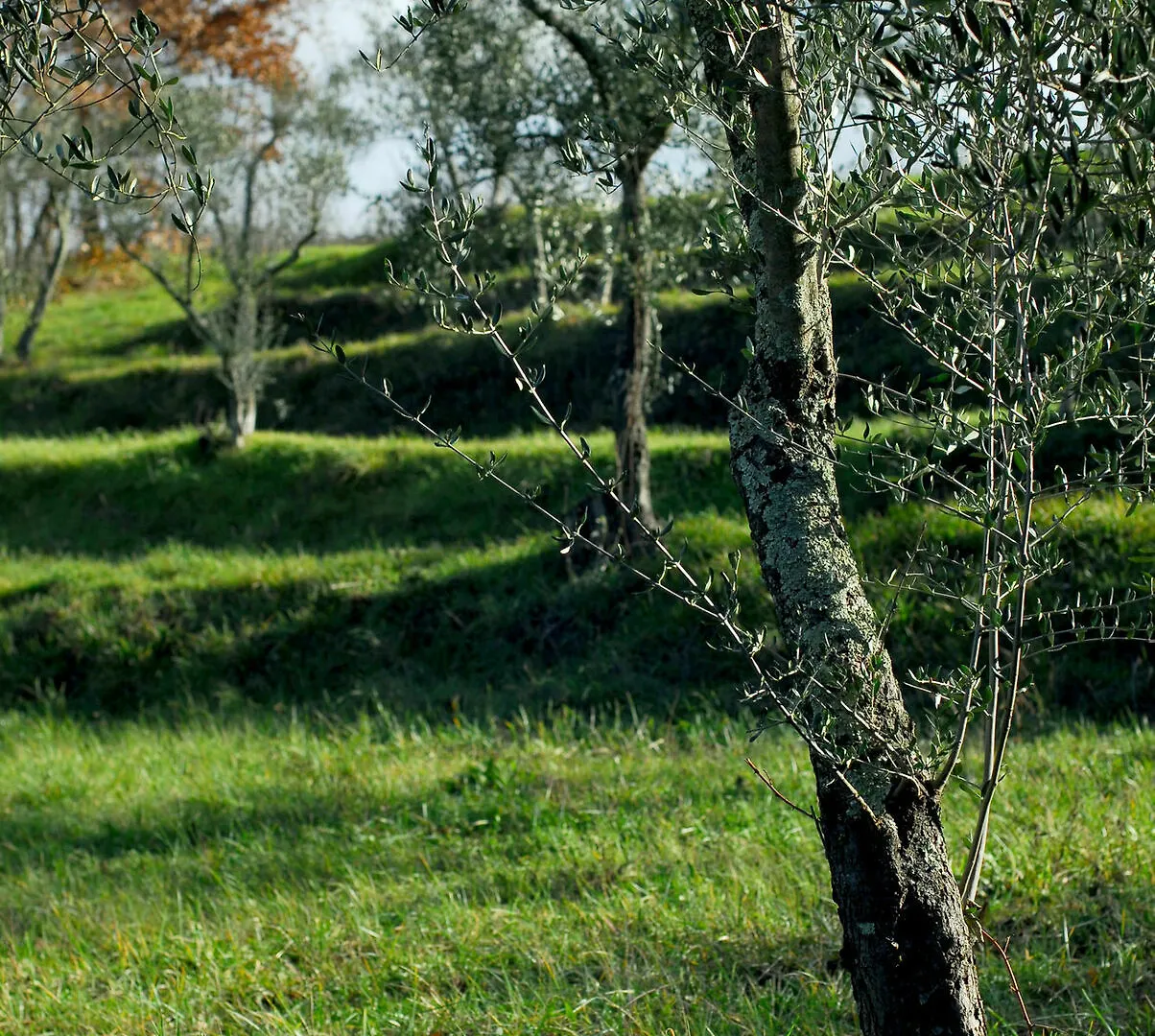 Agriturismo Parco Fiorito Cortona 0*,